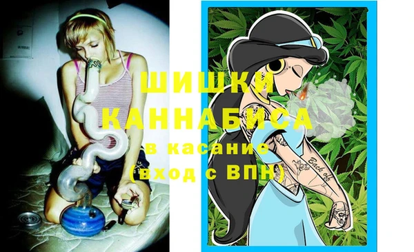 PSILOCYBIN Армянск