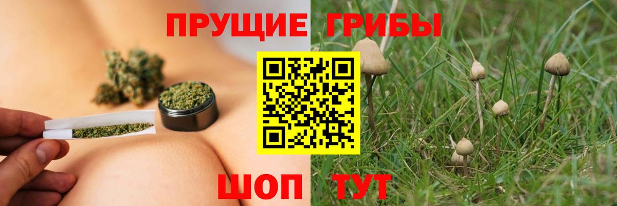 Нефтекумск  Псилоцибиновые грибы прущие грибы  наркошоп  Вход с VPN 
