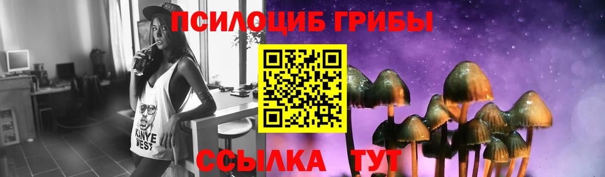 Галлюциногенные грибы GOLDEN TEACHER Нефтекумск