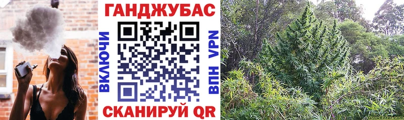Марихуана семена KRAKEN ссылки Нефтекумск